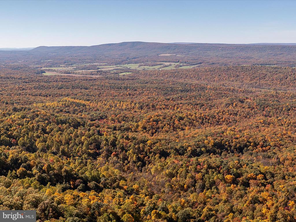 TUSCARORA PIKE PARCEL 14