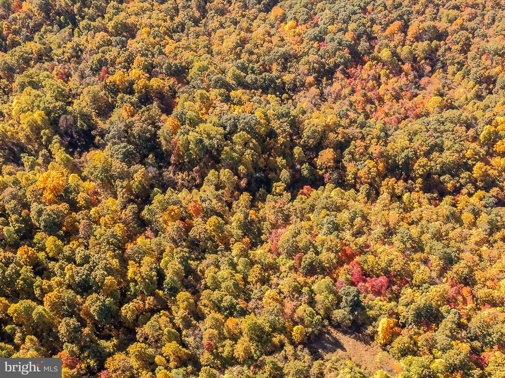 TUSCARORA PIKE PARCEL 14