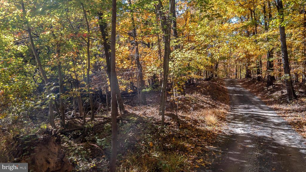 TUSCARORA PIKE PARCEL 14
