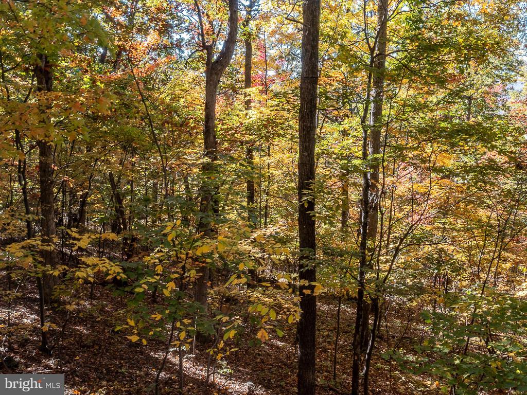 TUSCARORA PIKE PARCEL 14