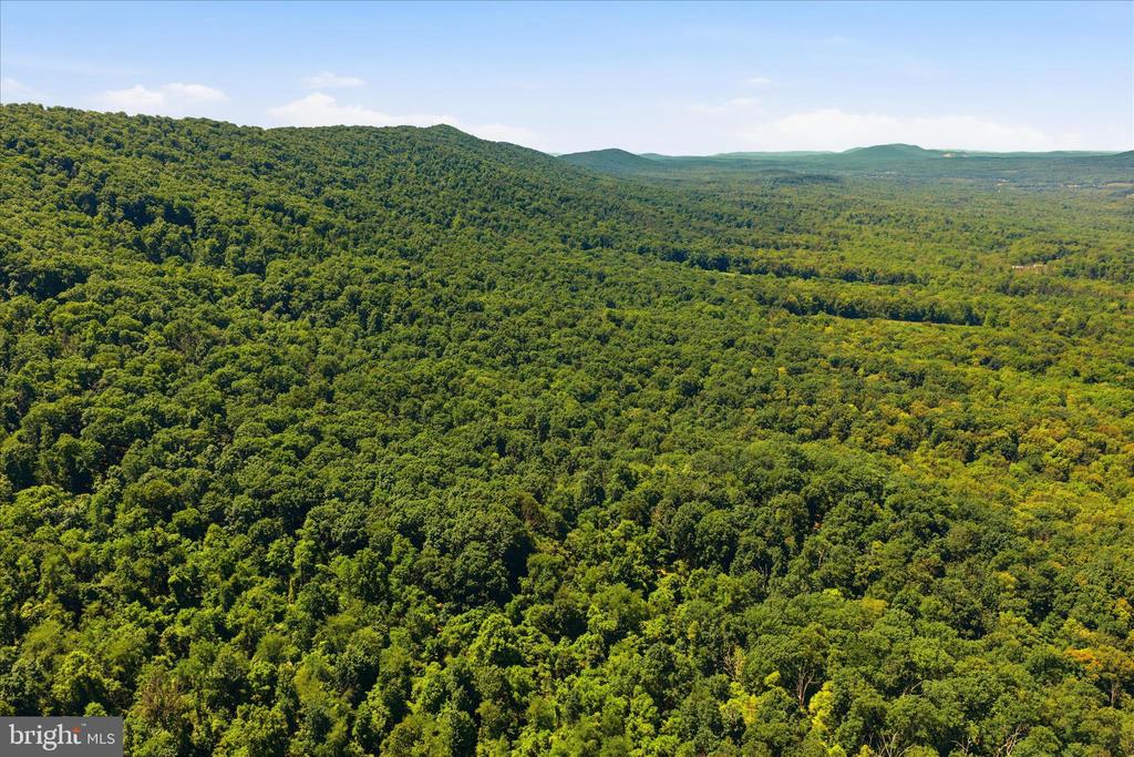 TUSCARORA PIKE PARCEL 14