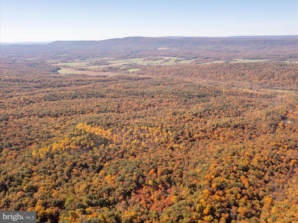 TUSCARORA PIKE PARCEL 14