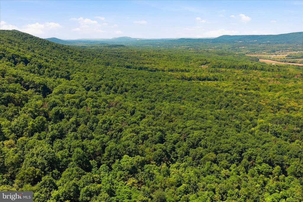 TUSCARORA PIKE PARCEL 14