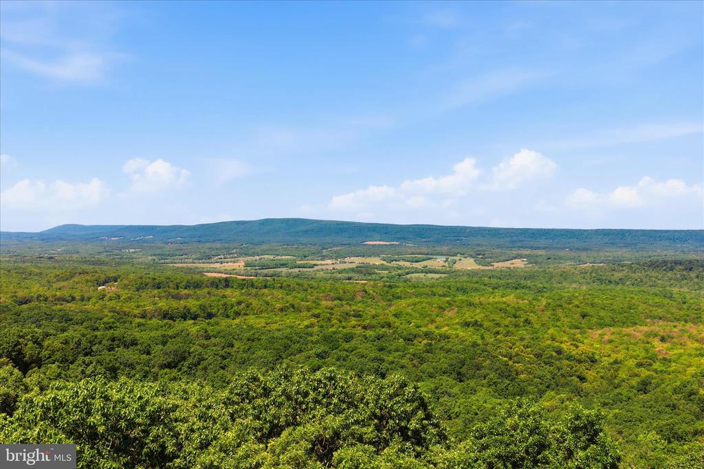 TUSCARORA PIKE PARCEL 14