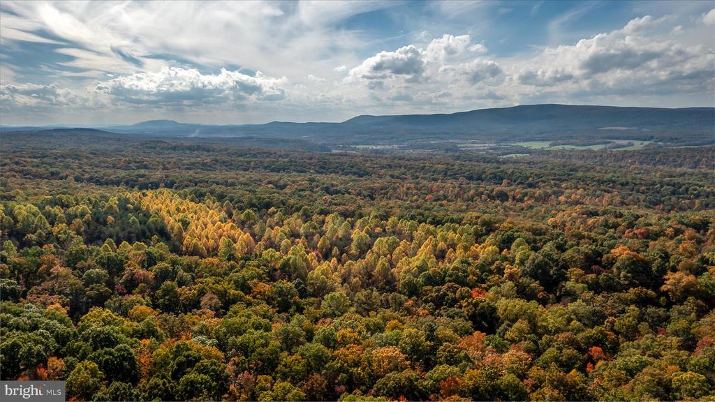 TUSCARORA PIKE PARCEL 14