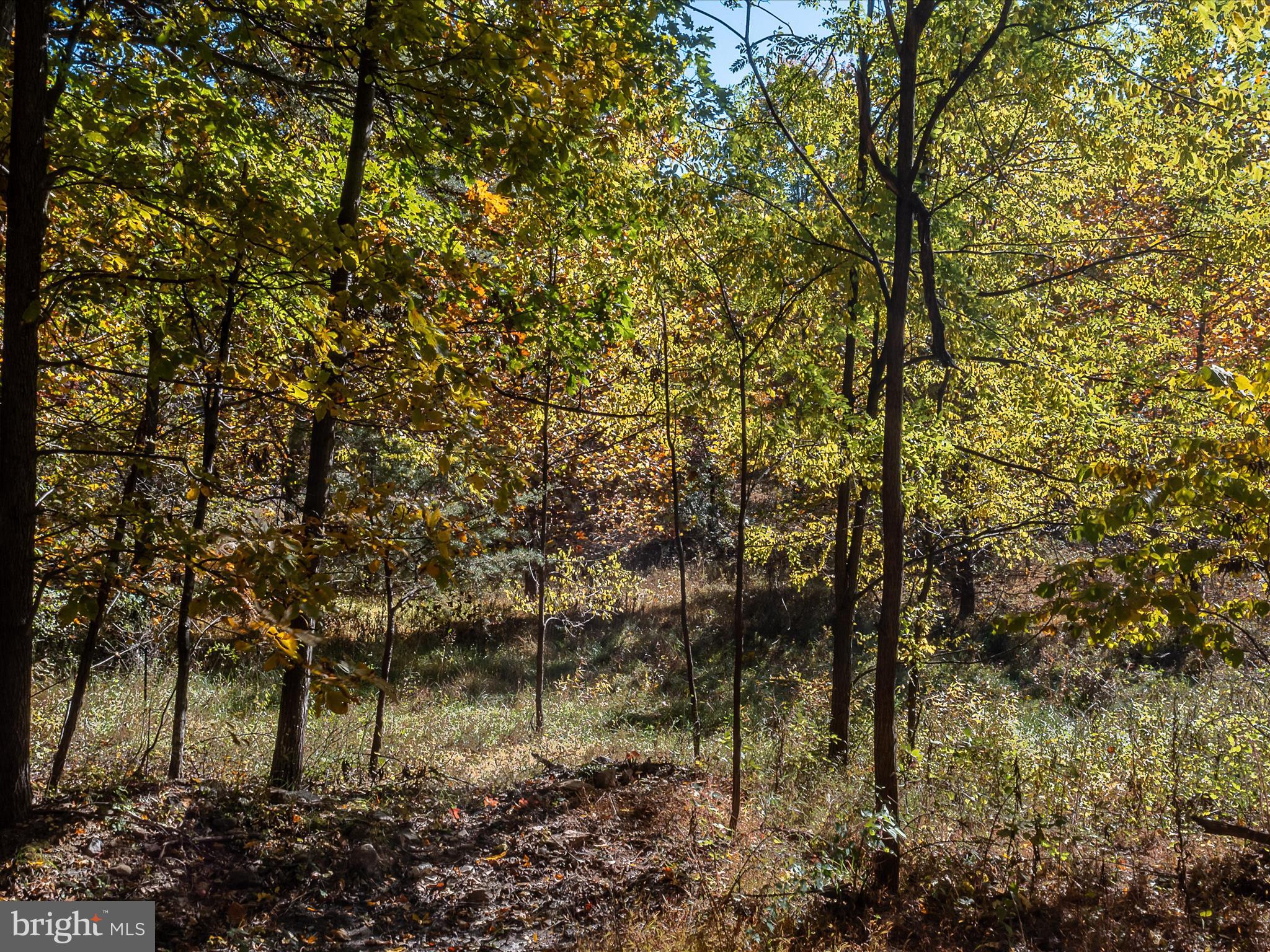 TUSCARORA PIKE PARCEL 14