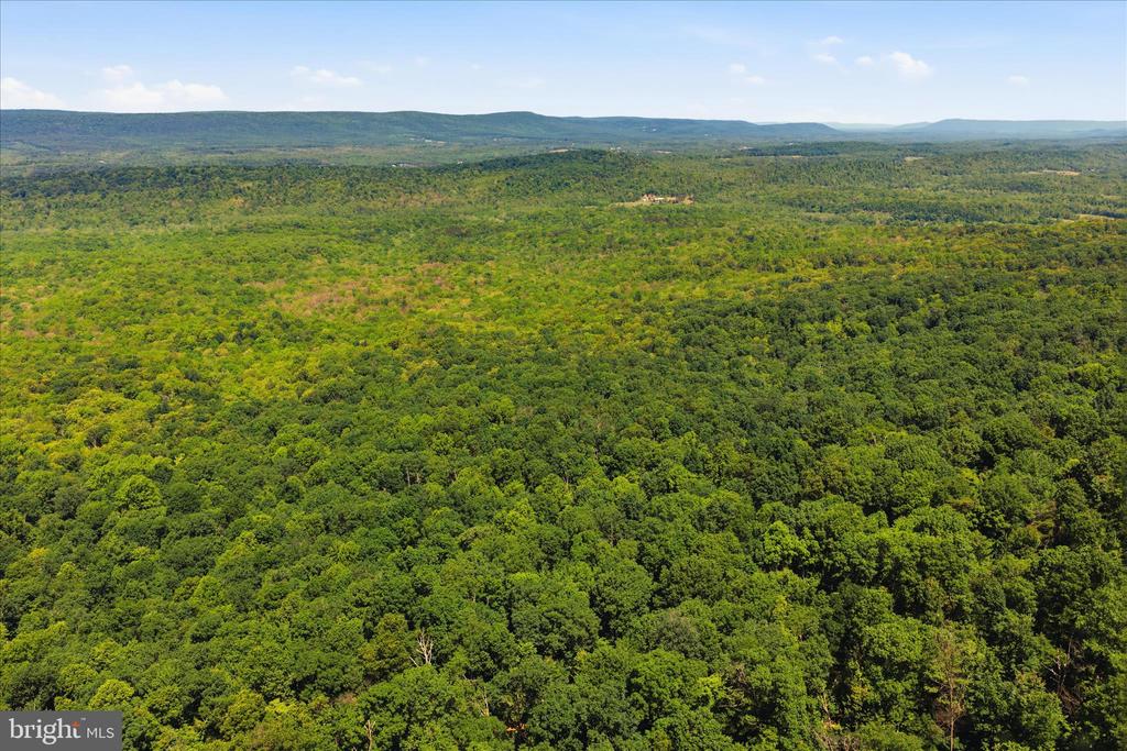 TUSCARORA PIKE PARCEL 14