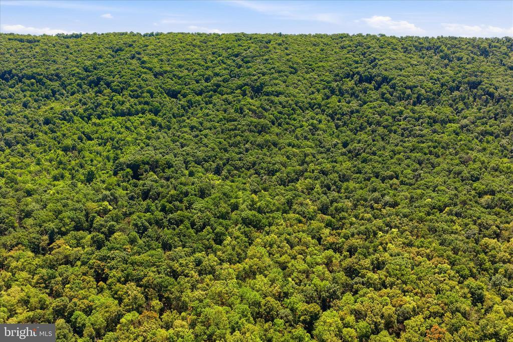 TUSCARORA PIKE PARCEL 14