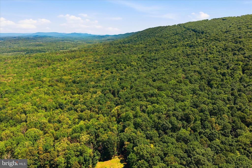 TUSCARORA PIKE PARCEL 14