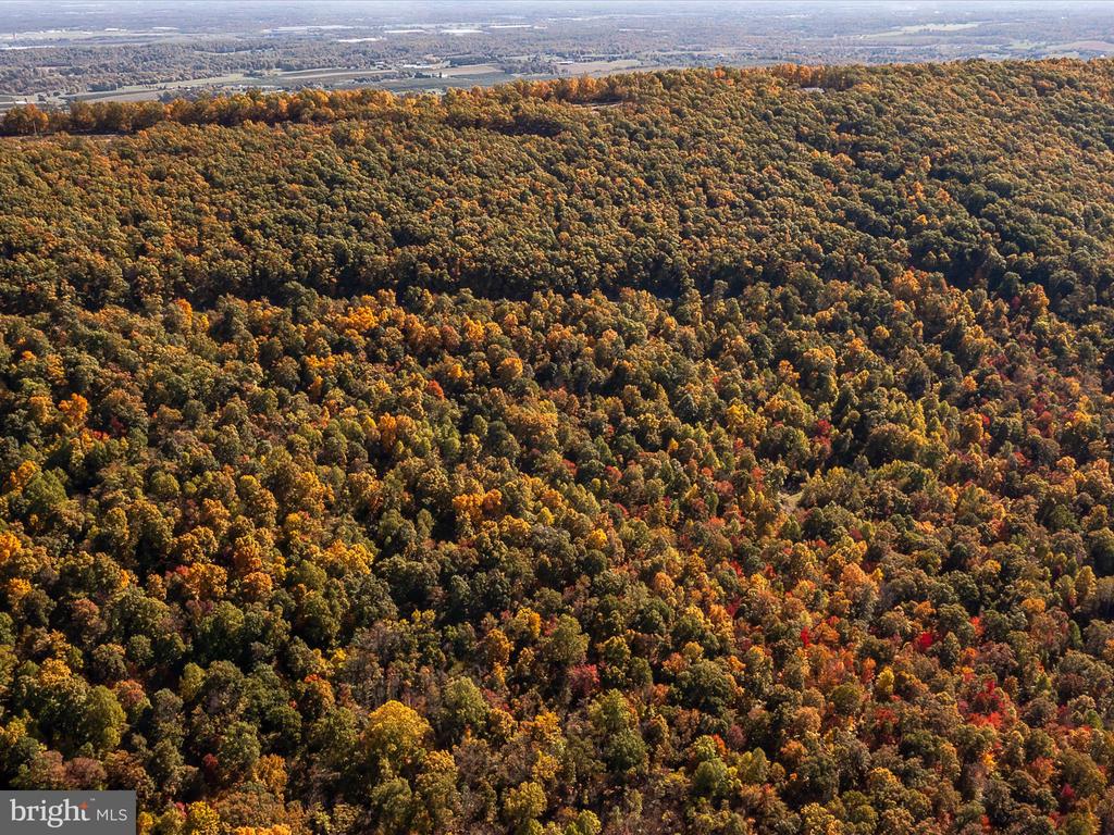 TUSCARORA PIKE PARCEL 14