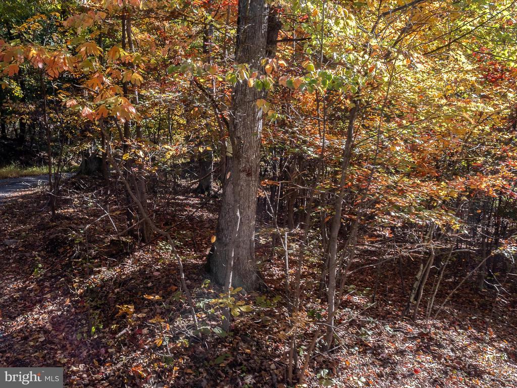TUSCARORA PIKE PARCEL 14