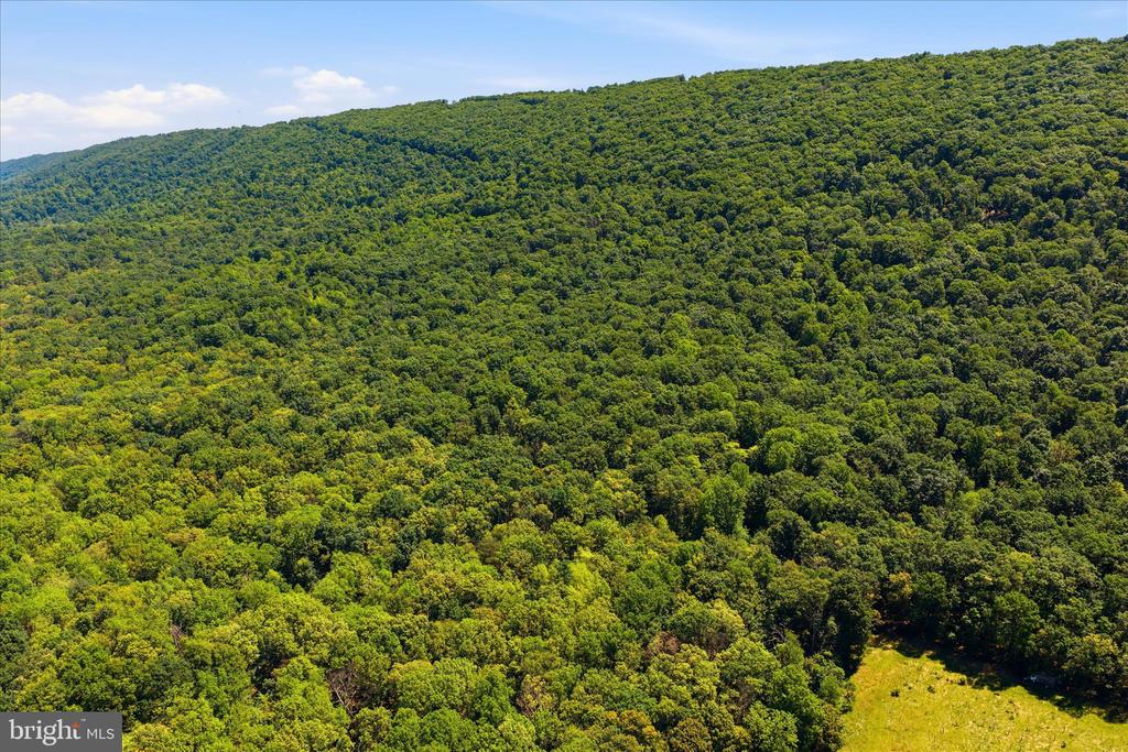 TUSCARORA PIKE PARCEL 14