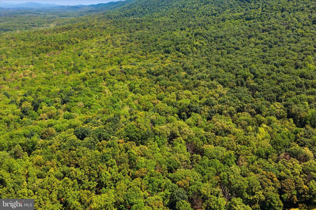 TUSCARORA PIKE PARCEL 14
