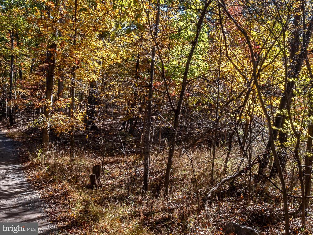 TUSCARORA PIKE PARCEL 14