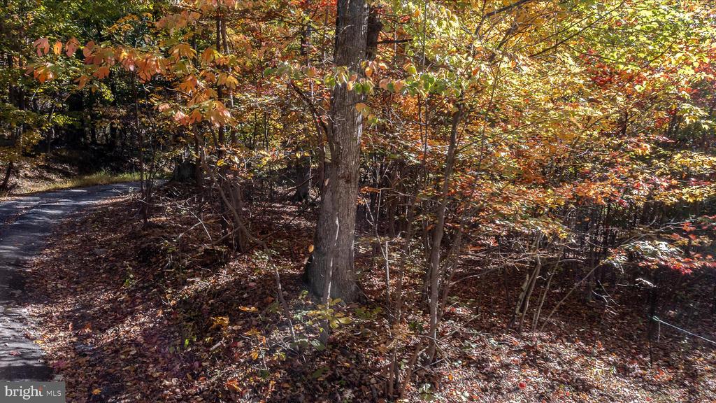 TUSCARORA PIKE PARCEL 14
