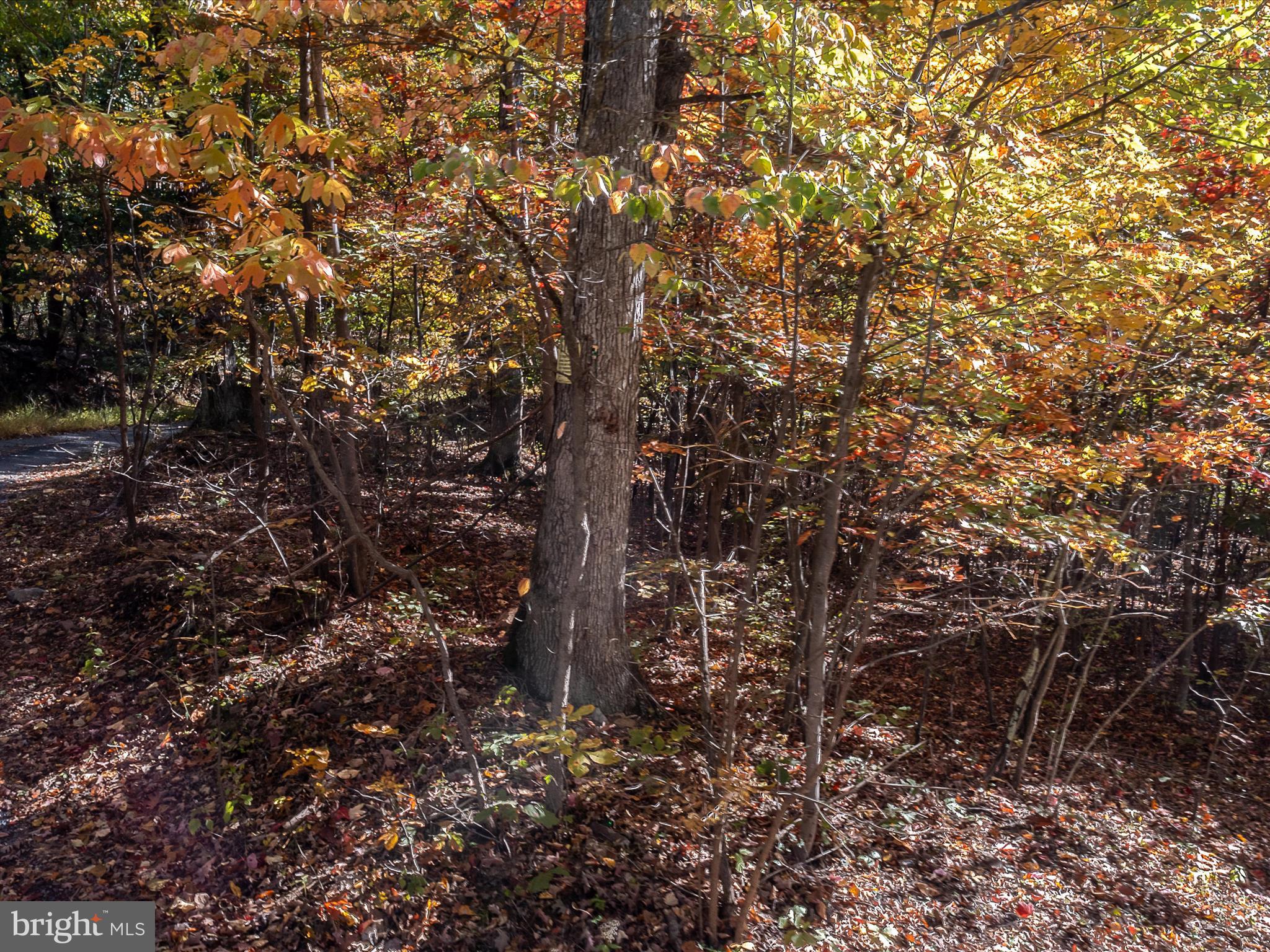 TUSCARORA PIKE PARCEL 14