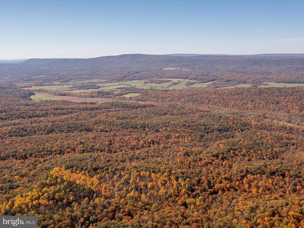TUSCARORA PIKE PARCEL 14