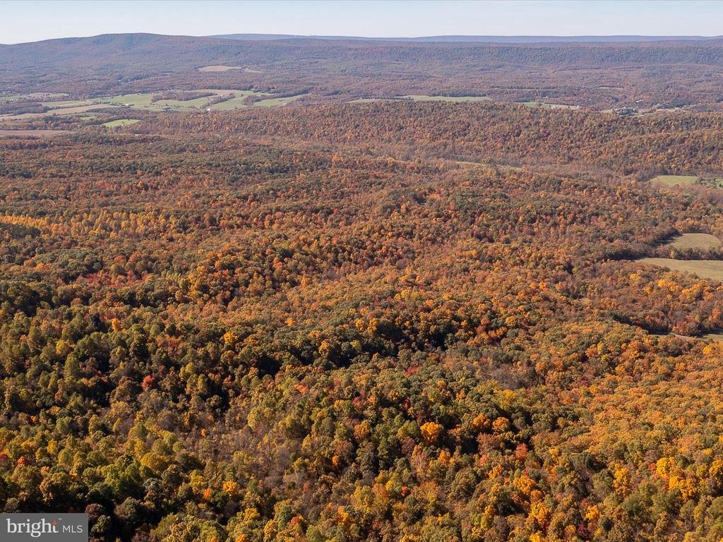 TUSCARORA PIKE PARCEL 14