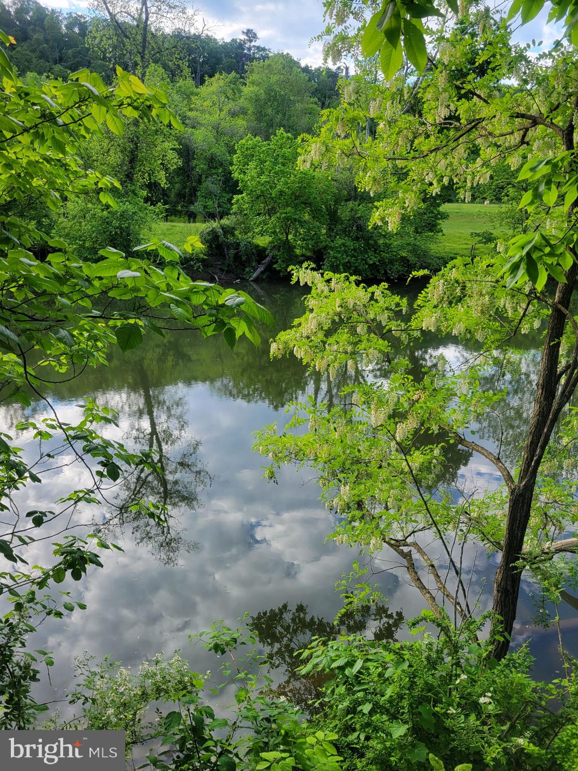 225 RIVER DRIVE
