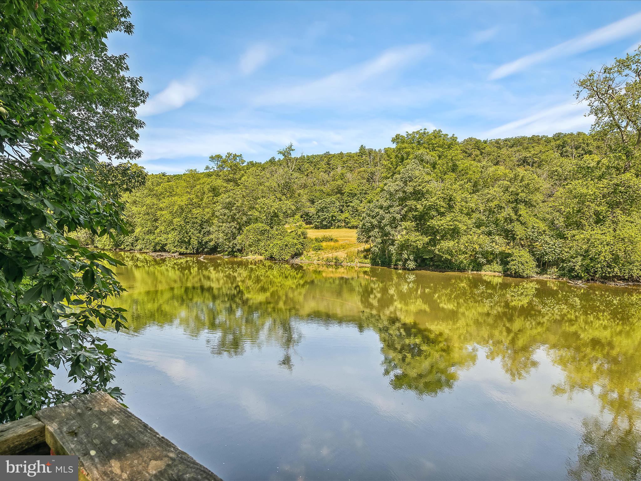 225 RIVER DRIVE
