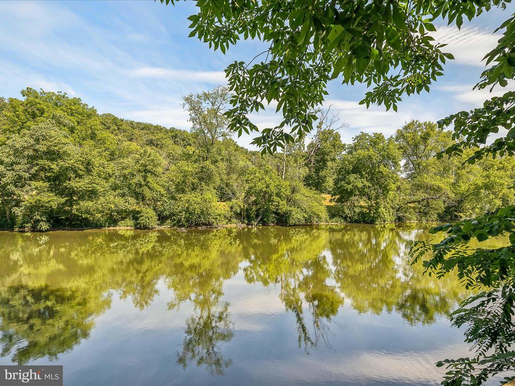 225 RIVER DRIVE