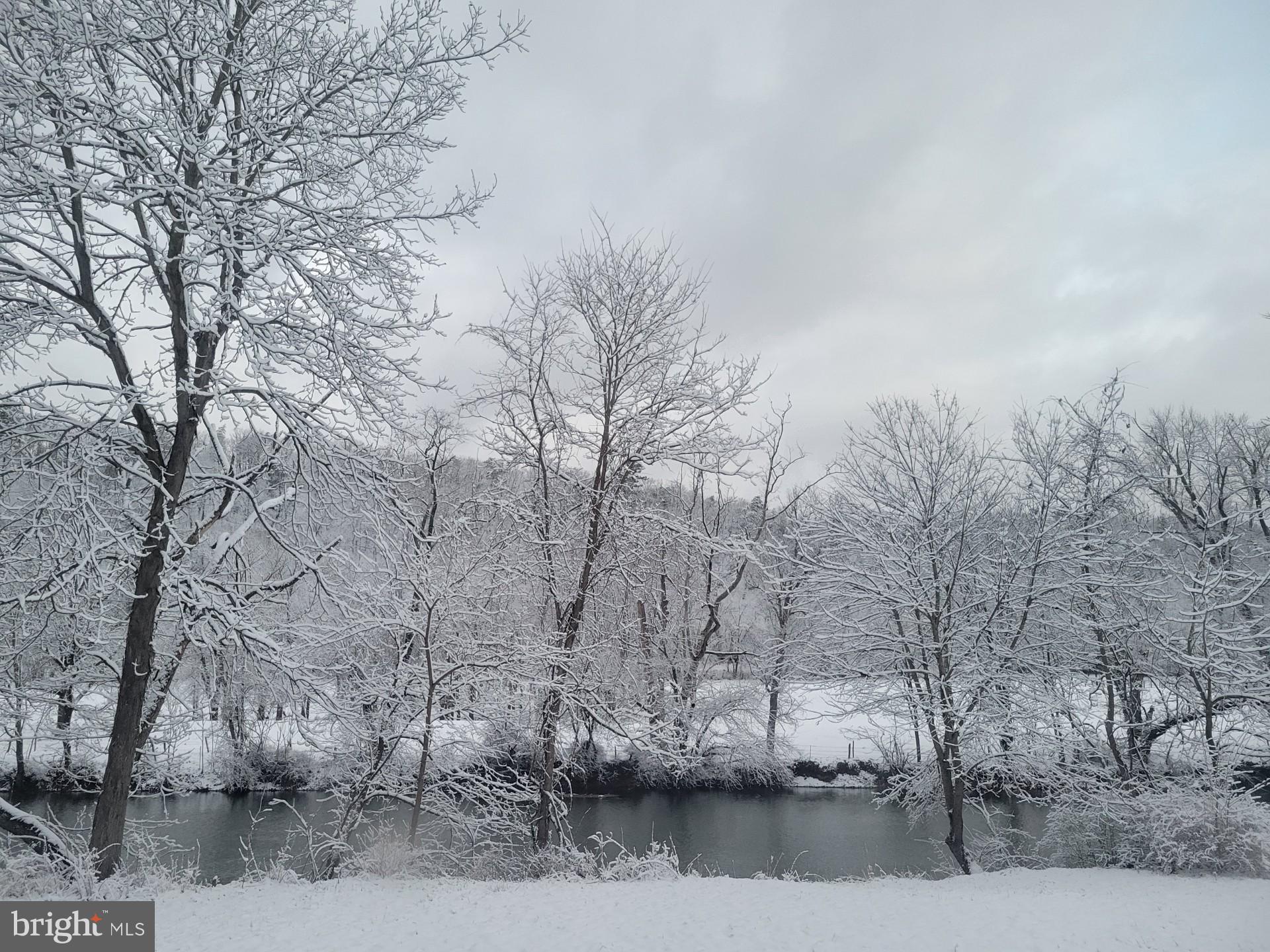 225 RIVER DRIVE