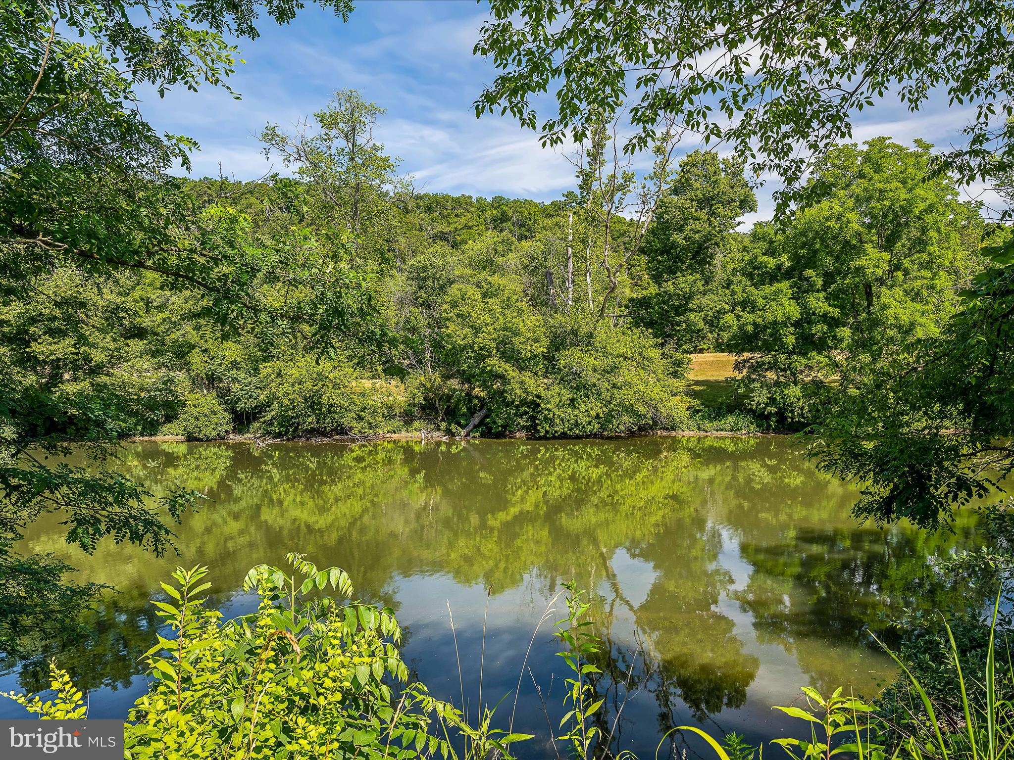 225 RIVER DRIVE