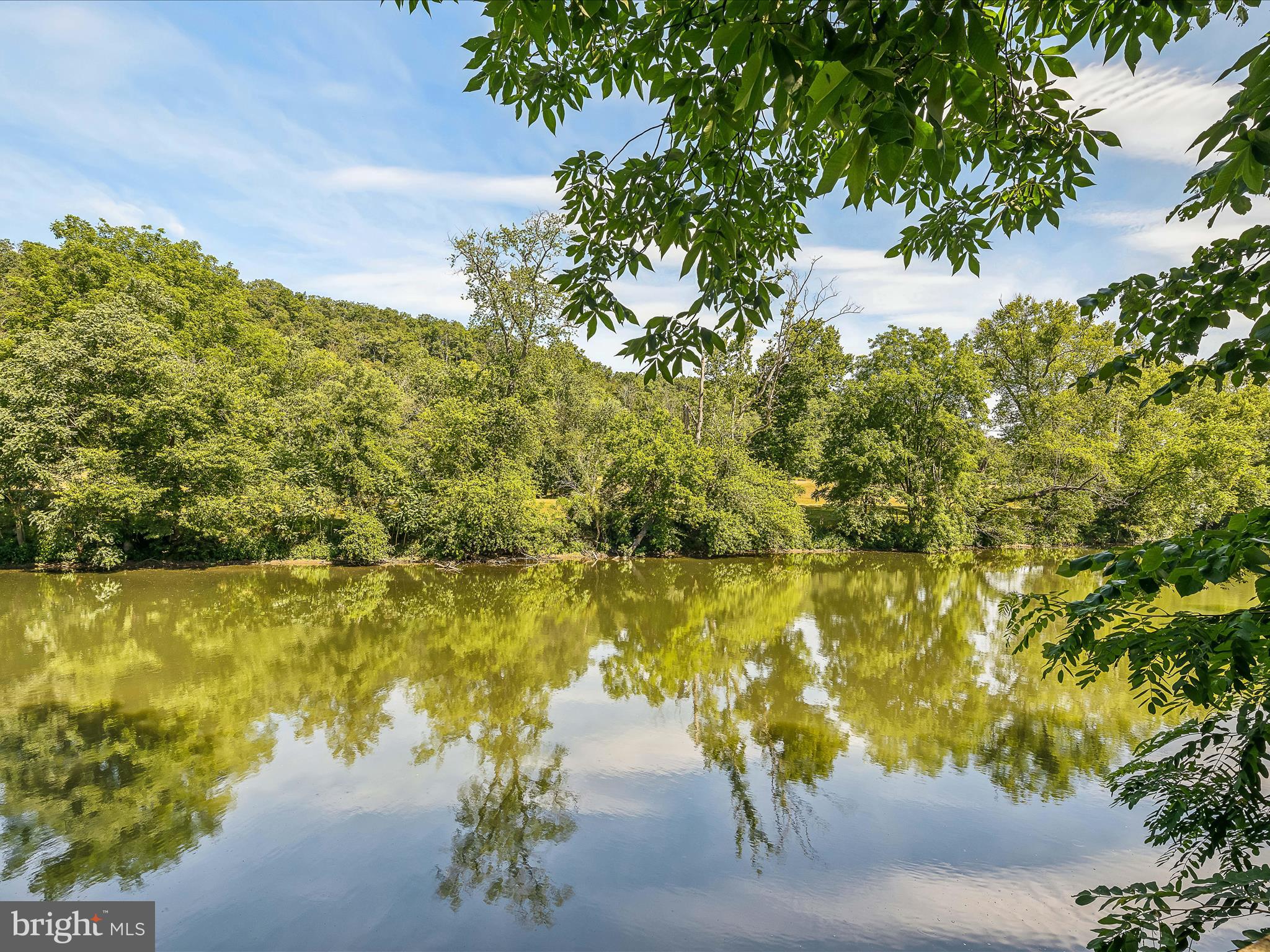 225 RIVER DRIVE