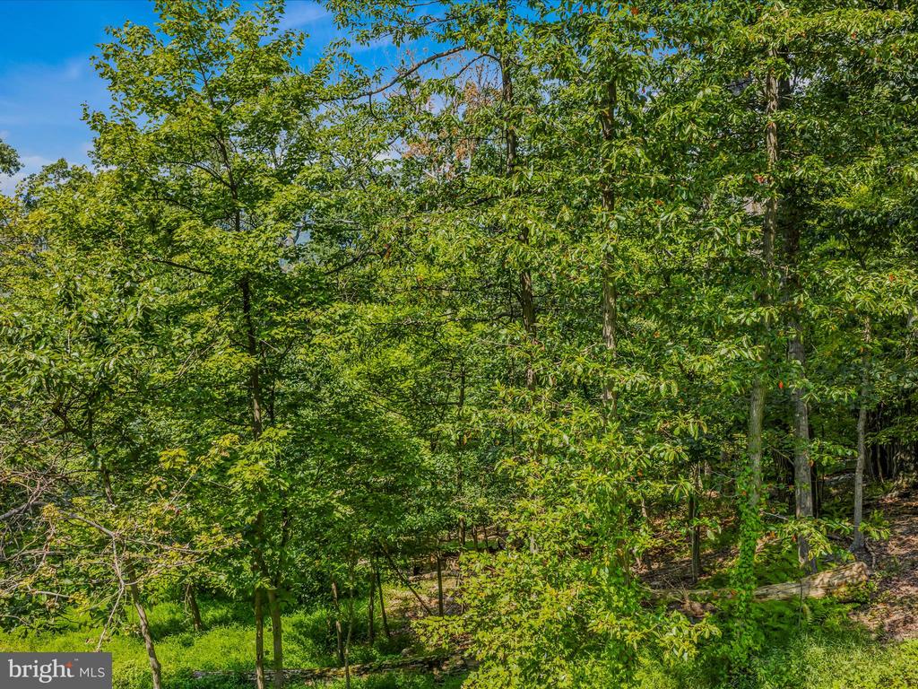 WRENS VIEW LN LOT 4