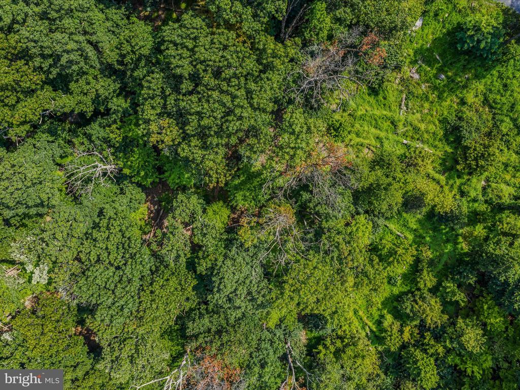 WRENS VIEW LN LOT 4