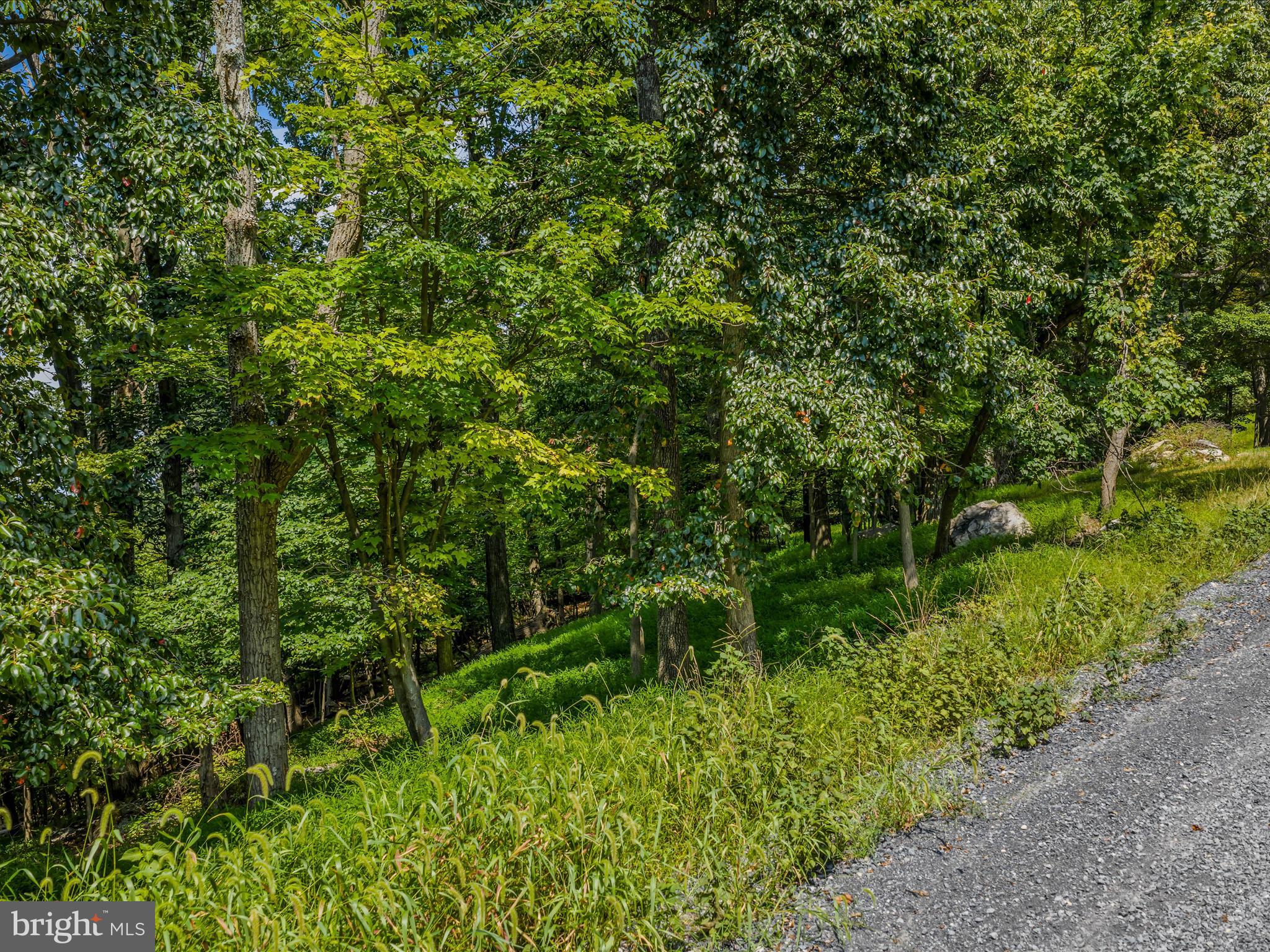 WRENS VIEW LN LOT 4