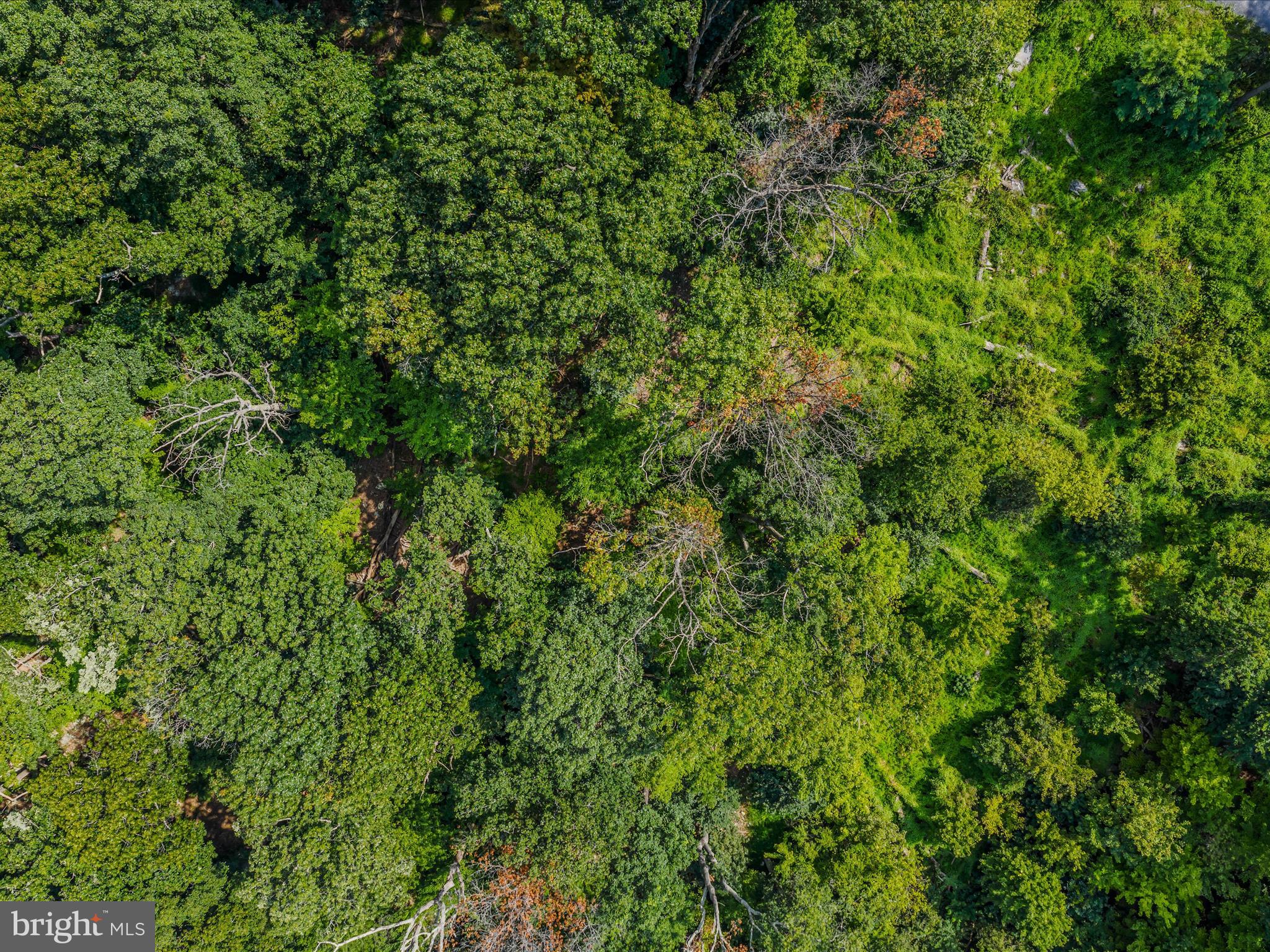 WRENS VIEW LN LOT 4
