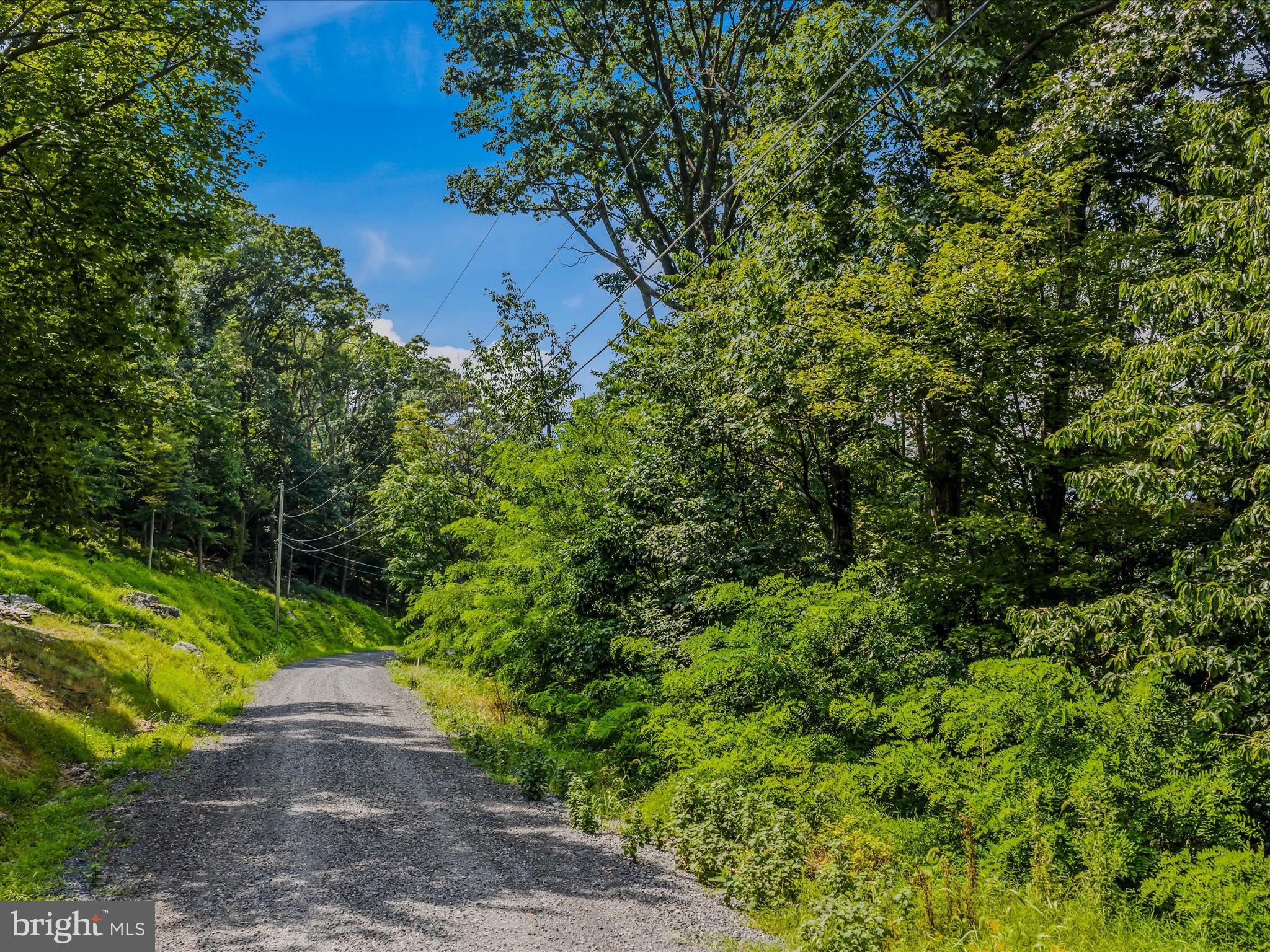 WRENS VIEW LN LOT 4