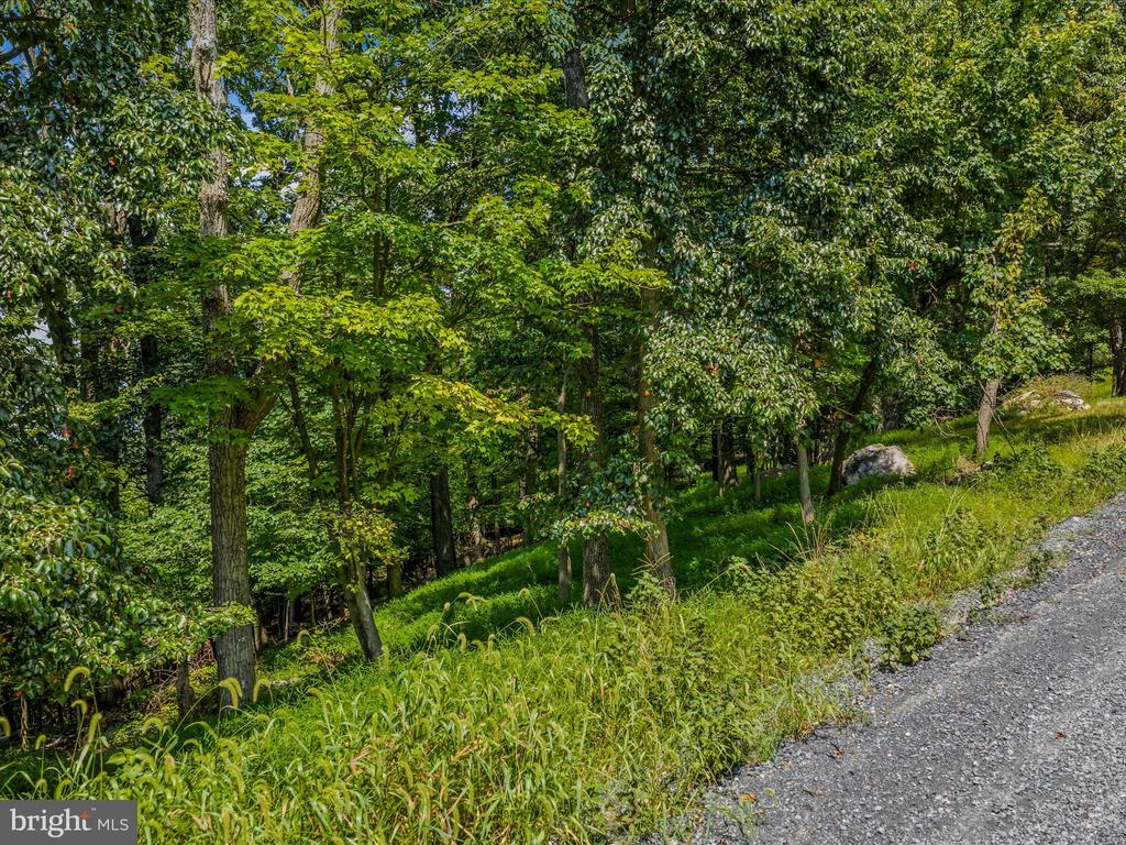 WRENS VIEW LN LOT 4