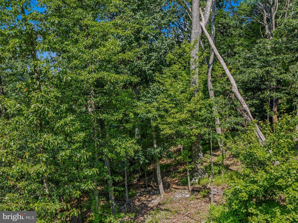 WRENS VIEW LN LOT 4