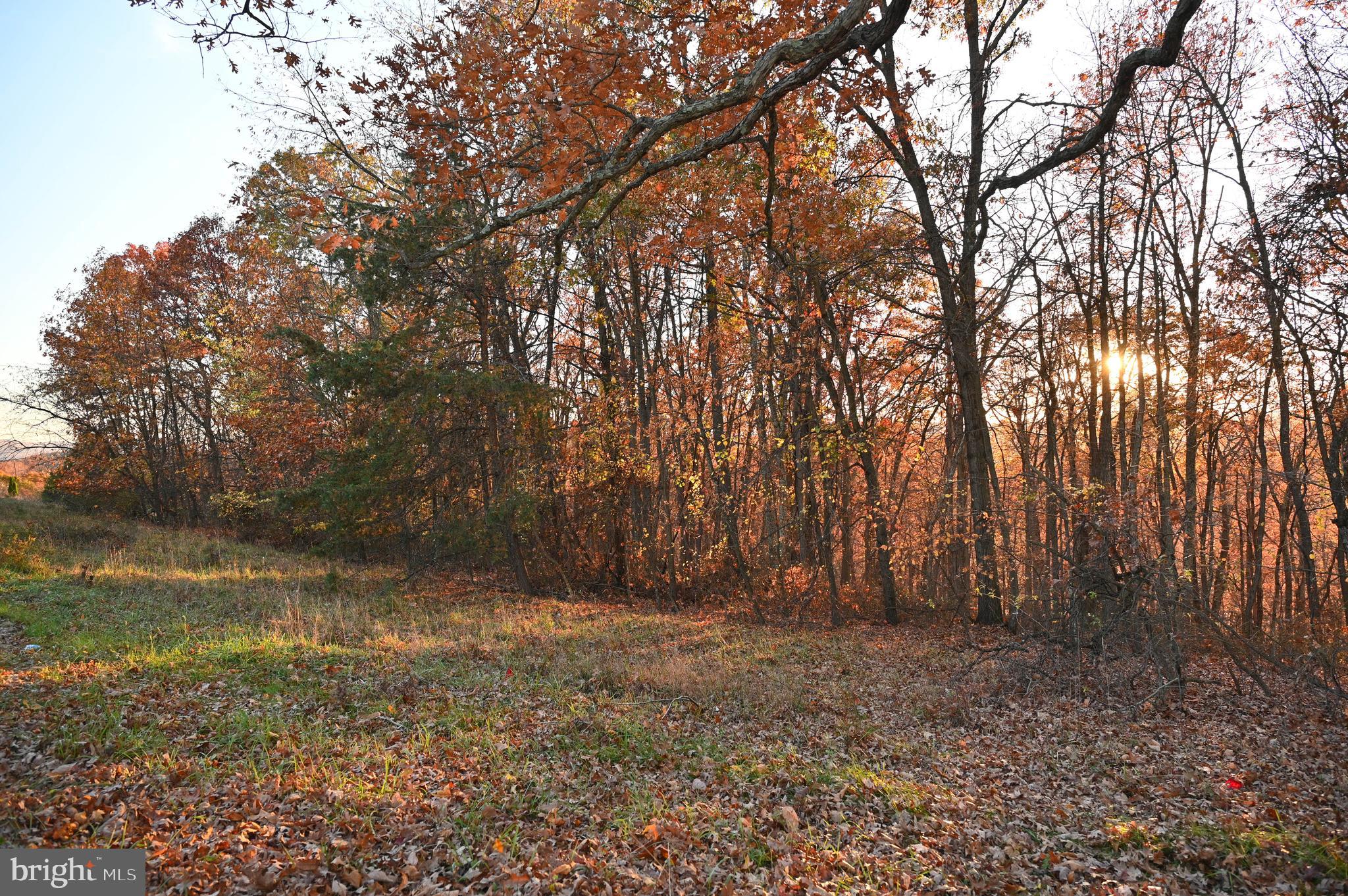 00 PIOUS RIDGE RD