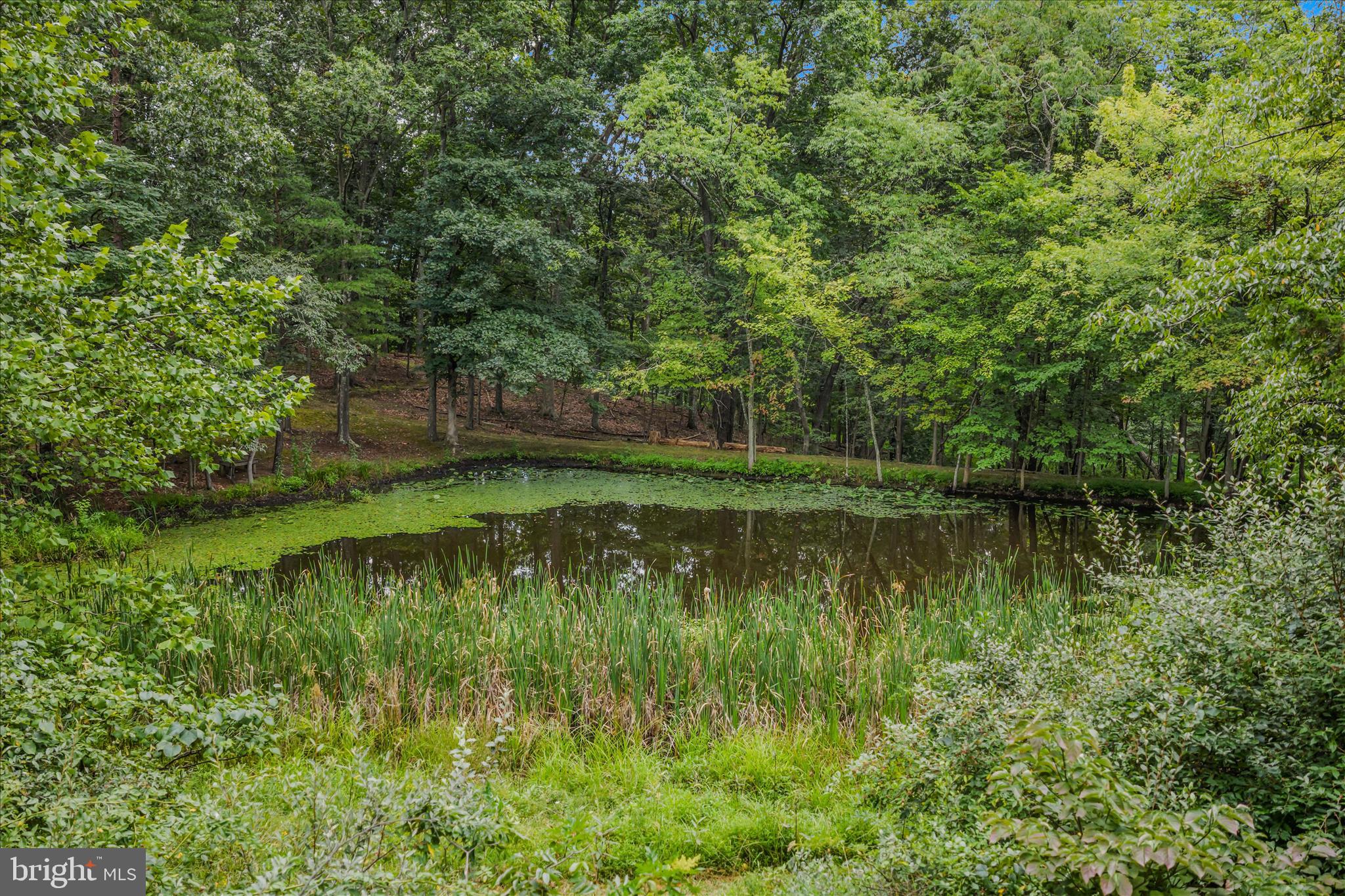 35 SLEEPYVIEW LANE