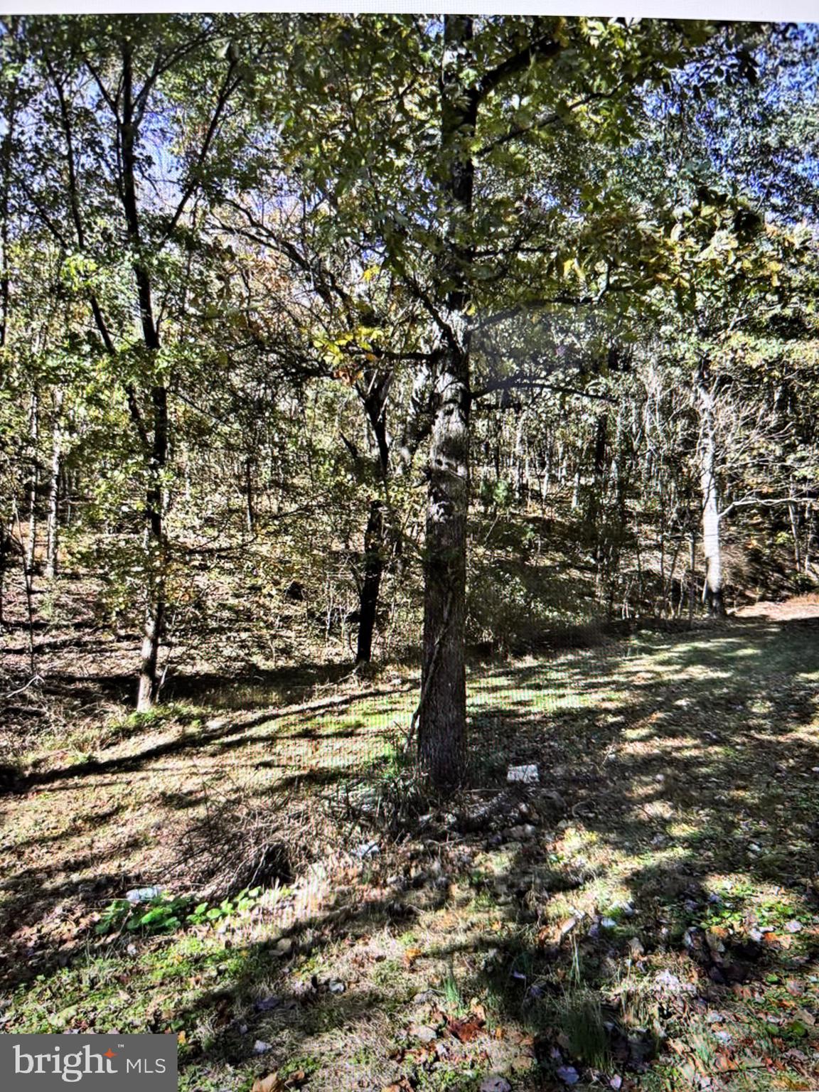 240 JEWEL LANE