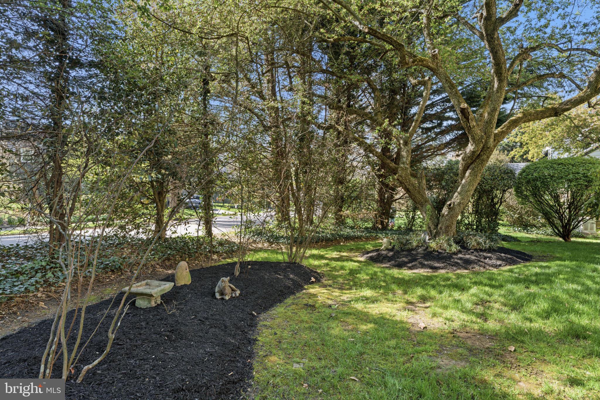 101 LLANBERRIS ROAD