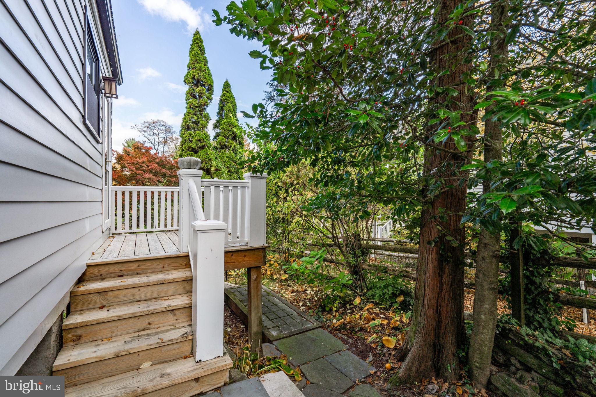 223 Rex AVENUE