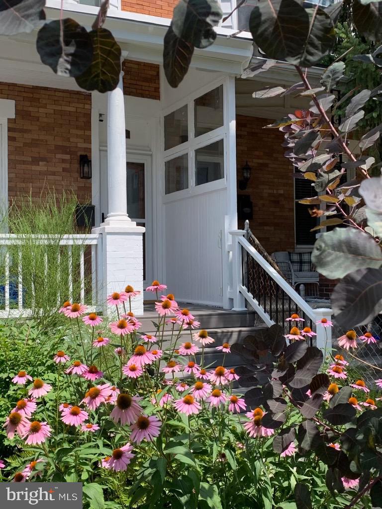 263 Rochelle Ave