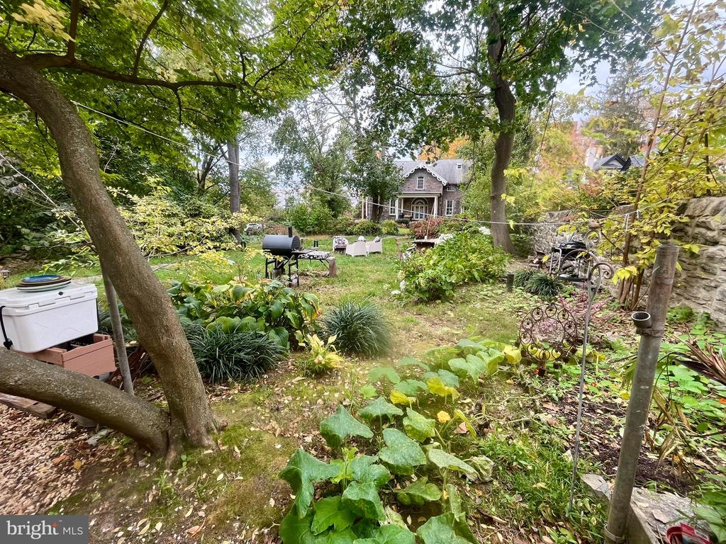 225 W TULPEHOCKEN STREET 2R