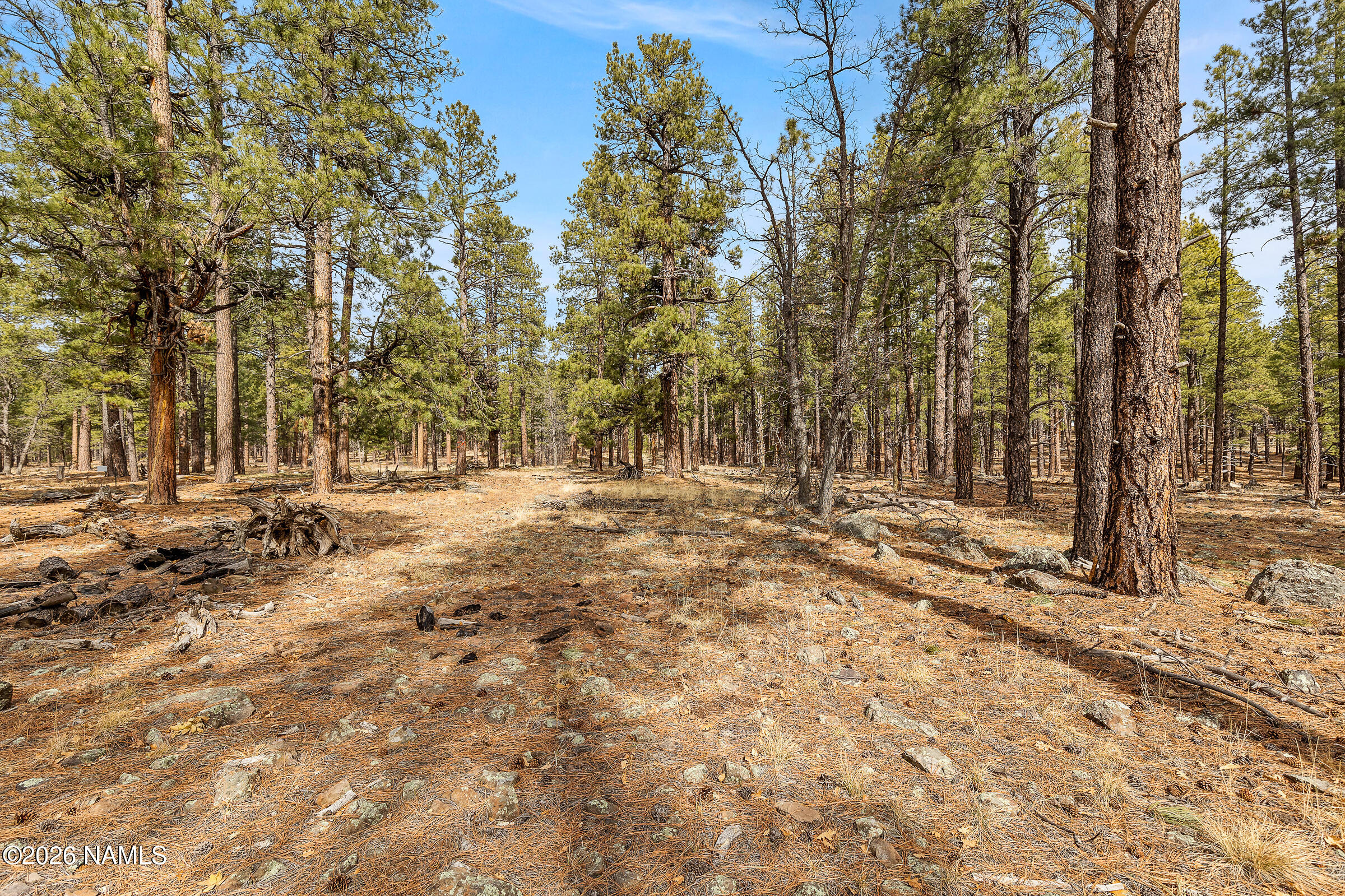 2937 Ben Brooks Lot# 3