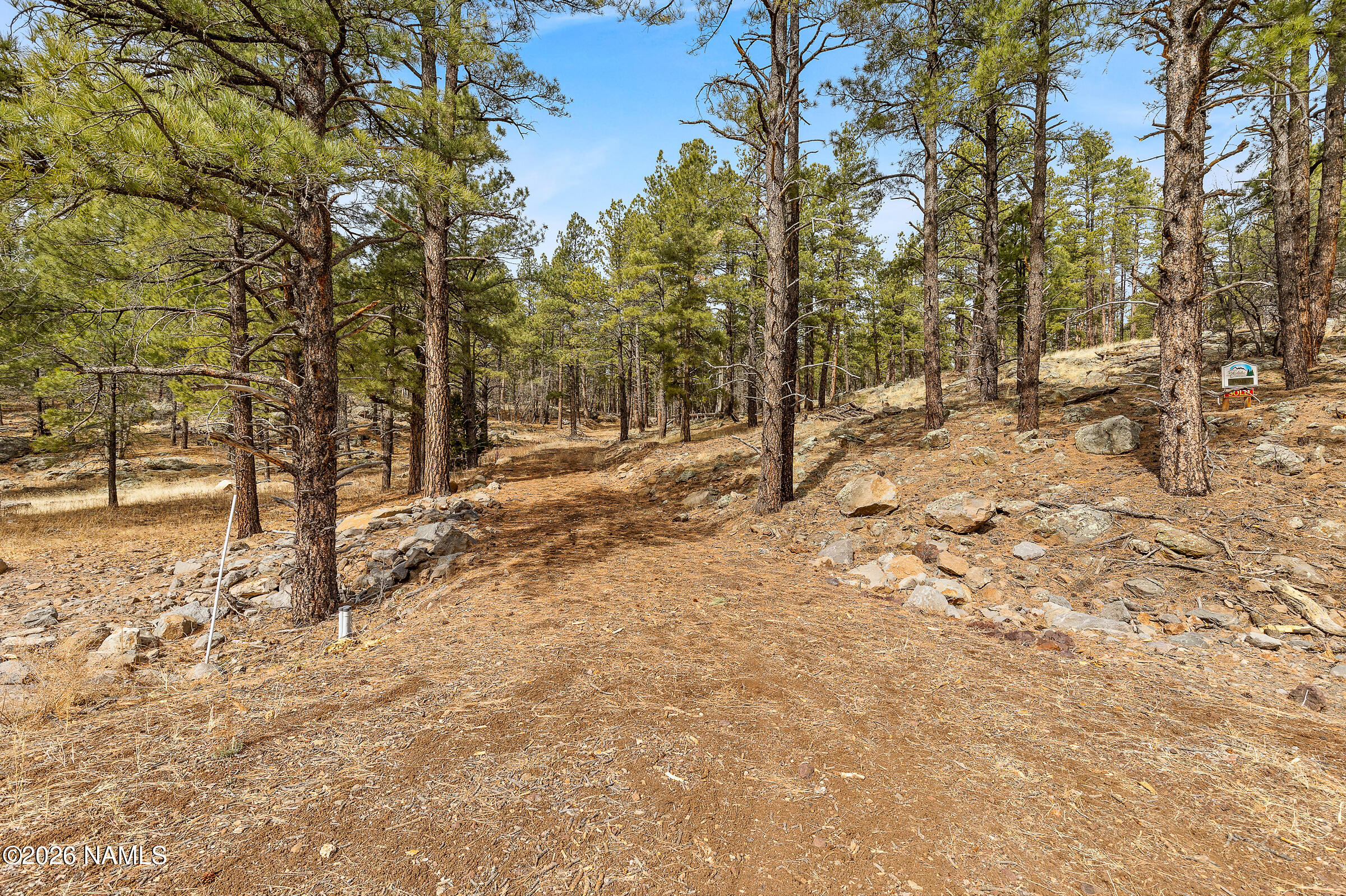 2937 Ben Brooks Lot# 3