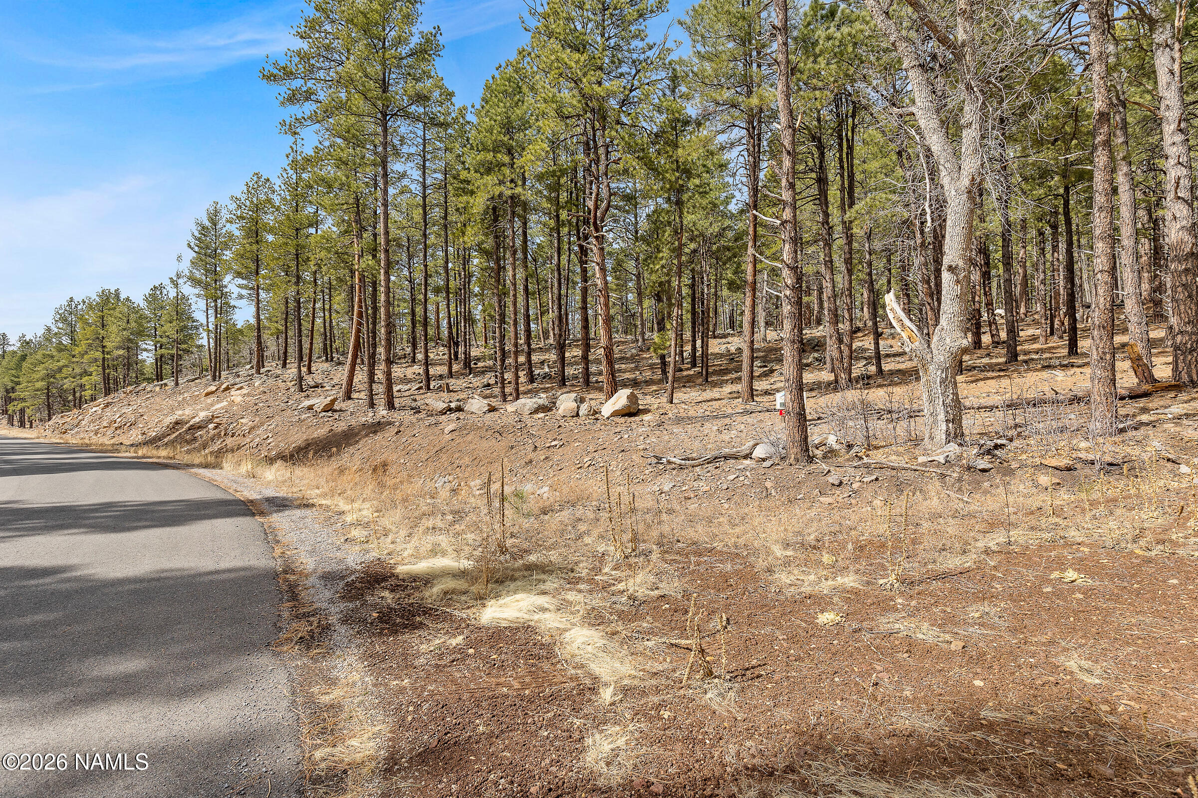 2937 Ben Brooks Lot# 3