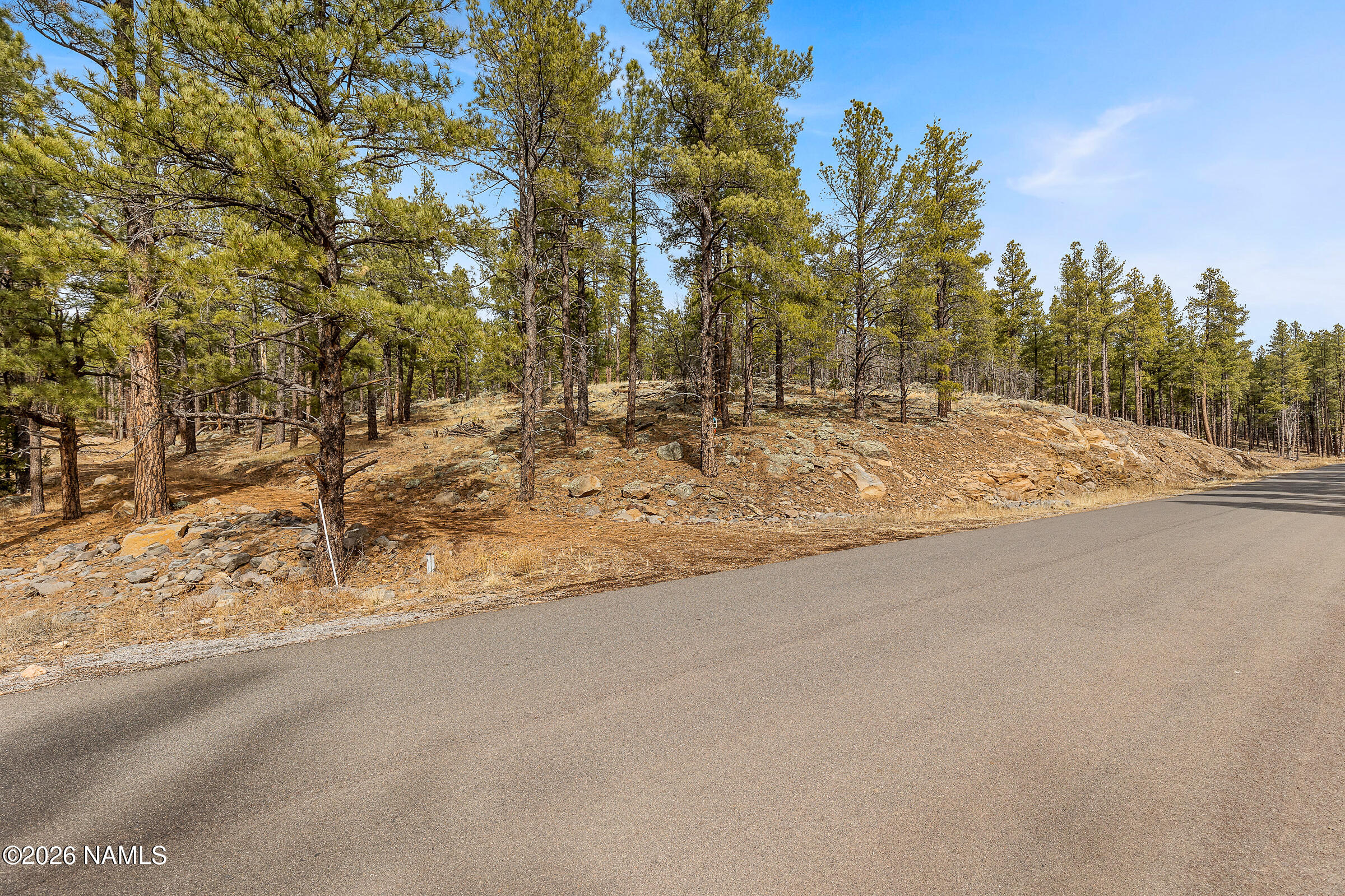 2937 Ben Brooks Lot# 3