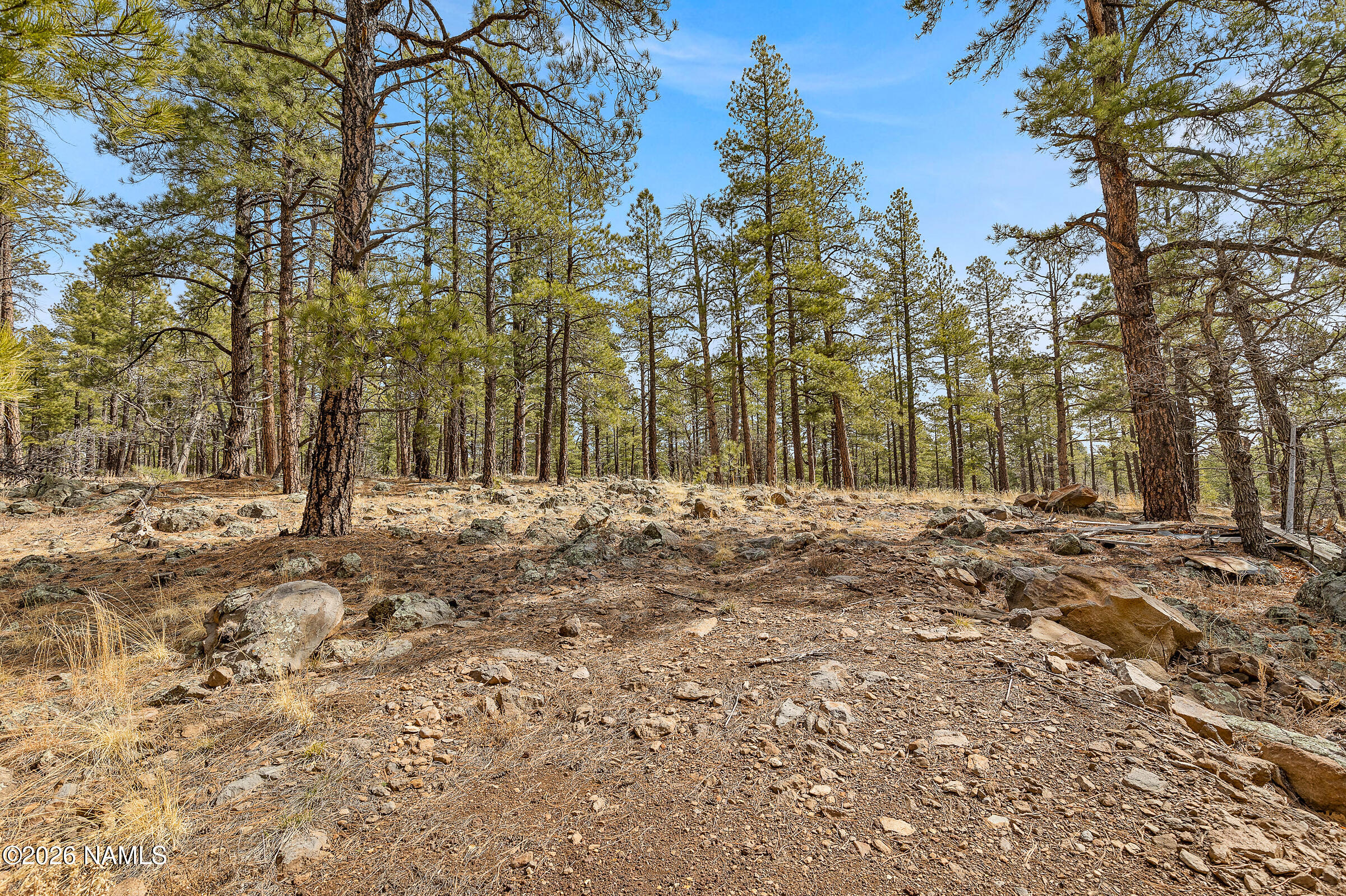 2937 Ben Brooks Lot# 3