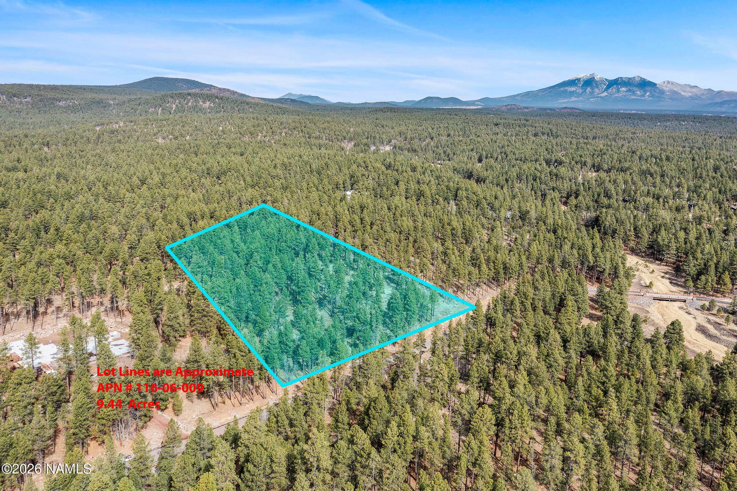 2937 Ben Brooks Lot# 3