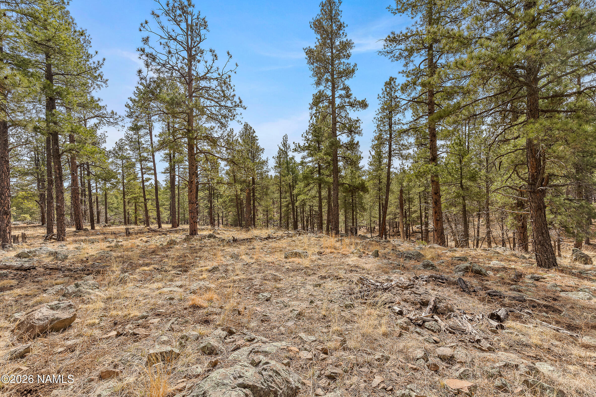 2851 Ben Brooks Lot #2
