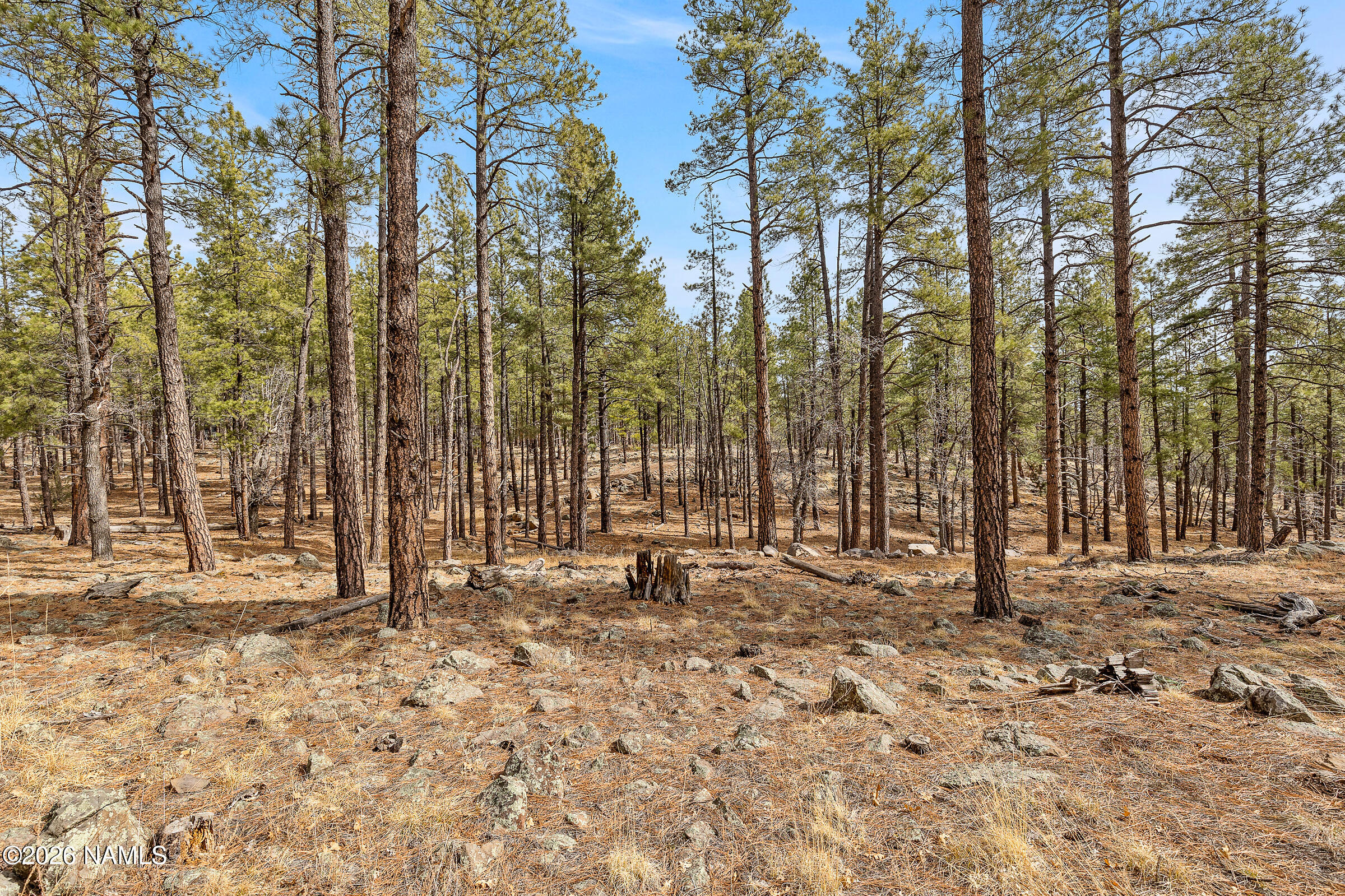 2851 Ben Brooks Lot #2